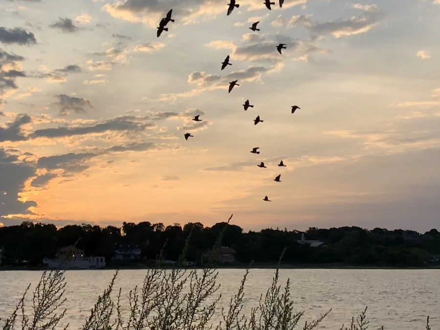 IMG_1724.jpg?type=w966