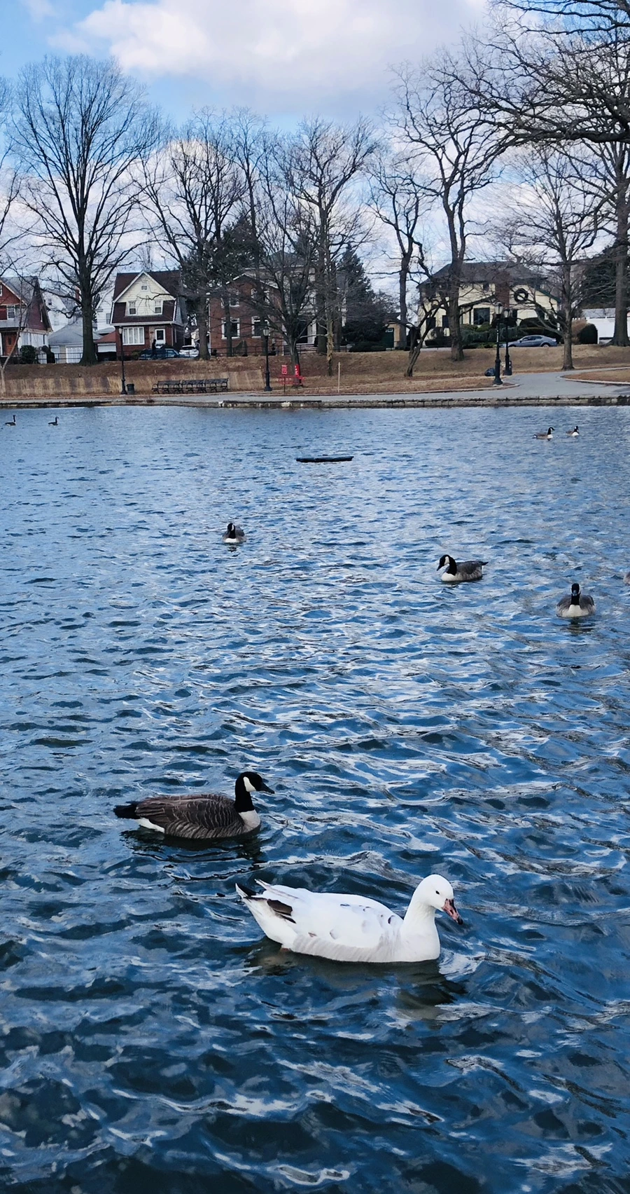 IMG_0150.jpg?type=w966