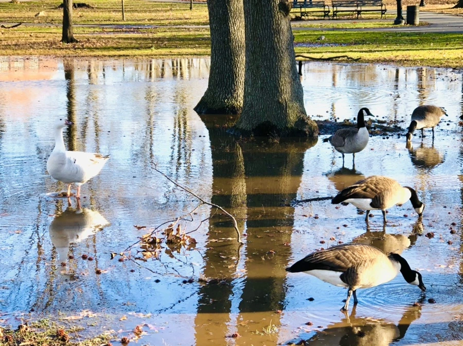 IMG_9291.jpg?type=w966