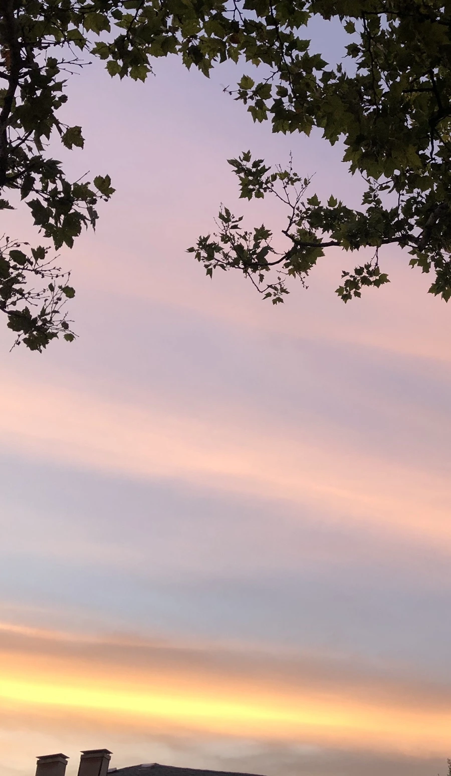 IMG_4561.jpg?type=w966