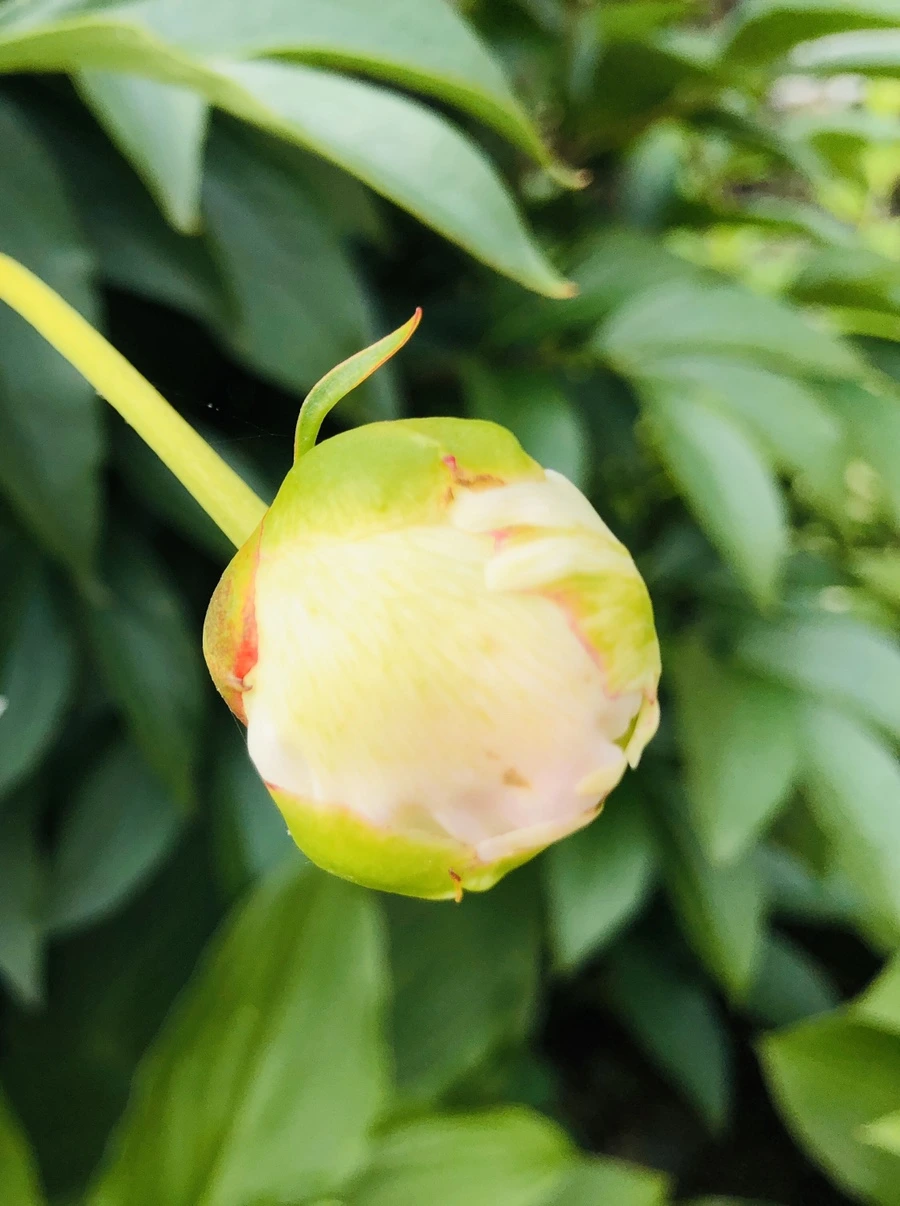 IMG_8829.jpg?type=w966