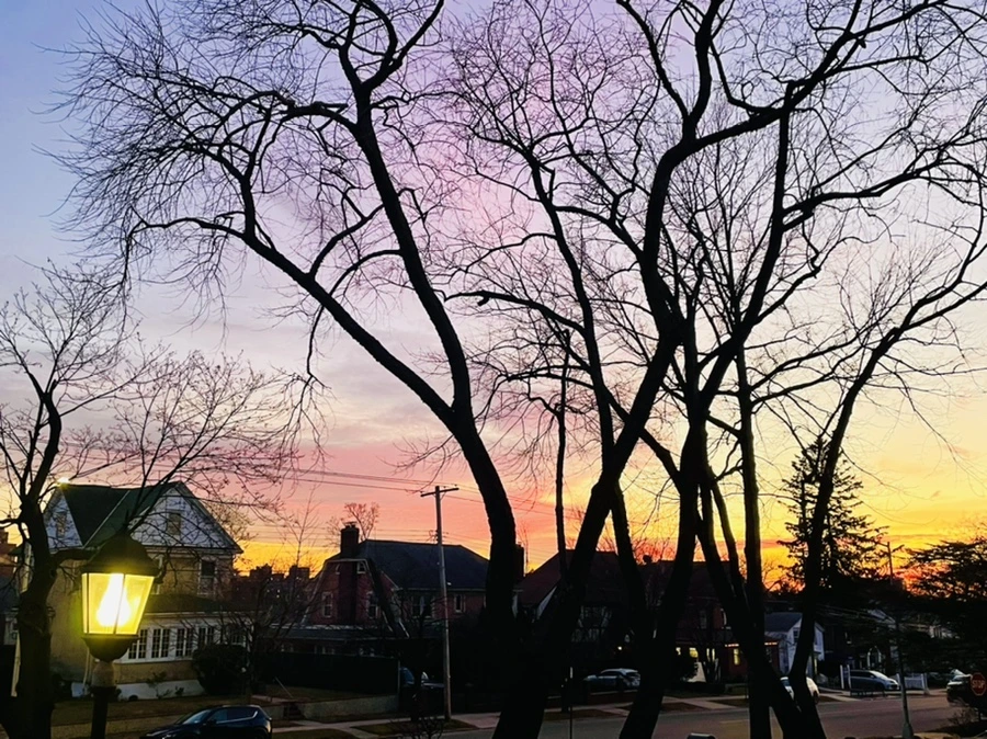 IMG_0501.jpg?type=w966