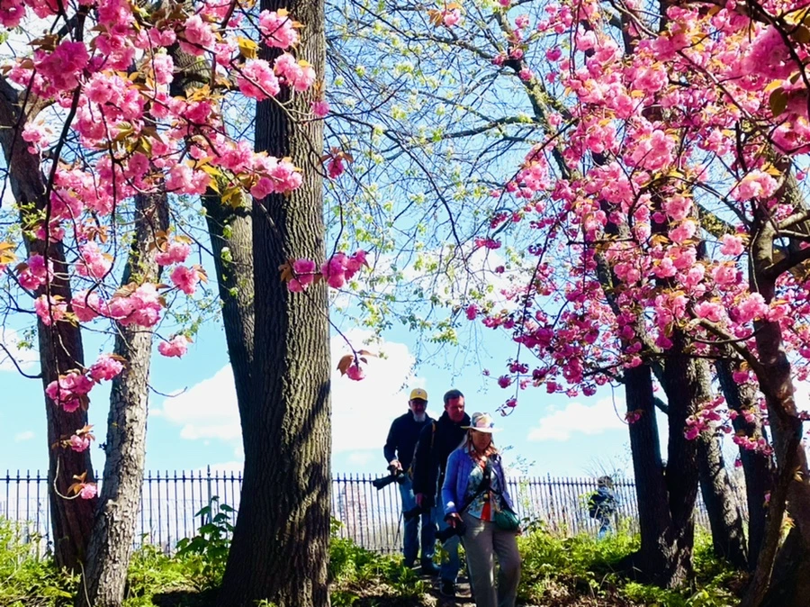 IMG_2682.jpg?type=w966