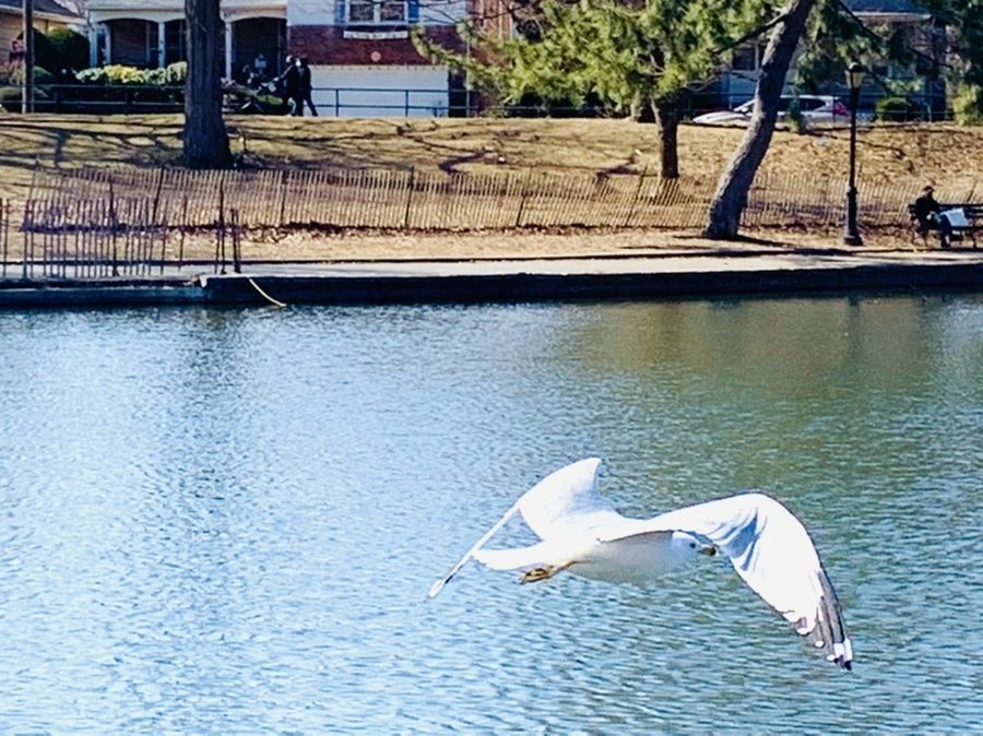 IMG_9379.jpg?type=w966