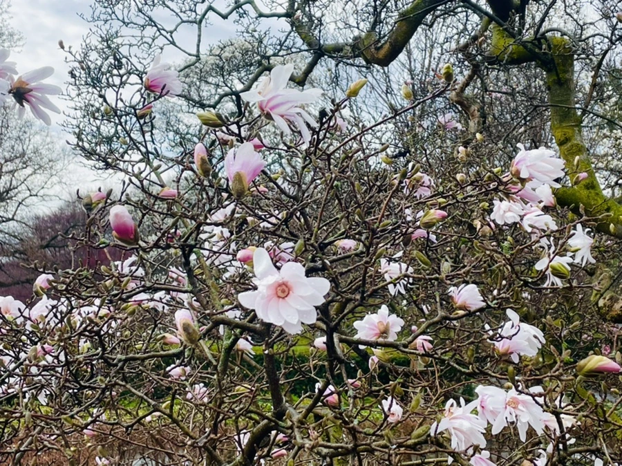 IMG_7394.jpg?type=w966