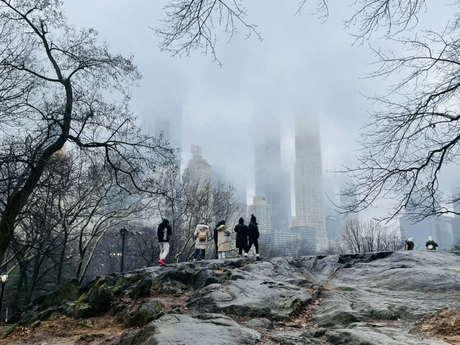 IMG_1581.jpg?type=w966