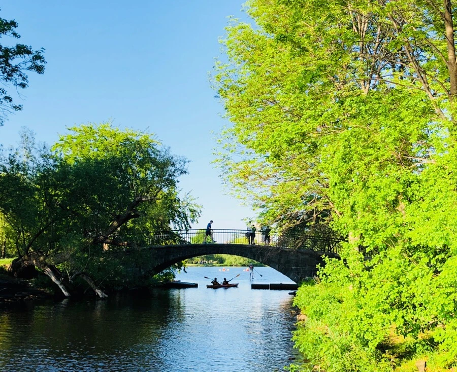 IMG_6768.jpg?type=w966