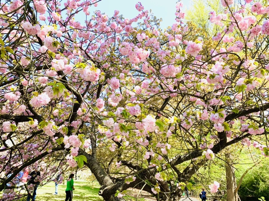 IMG_4673.jpg?type=w966