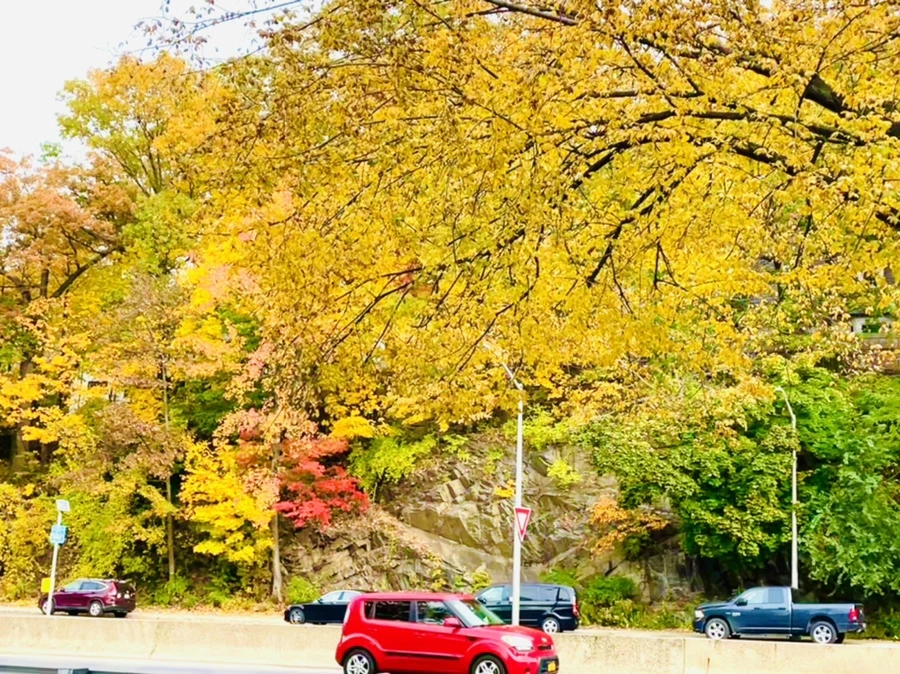 IMG_2292.jpg?type=w966