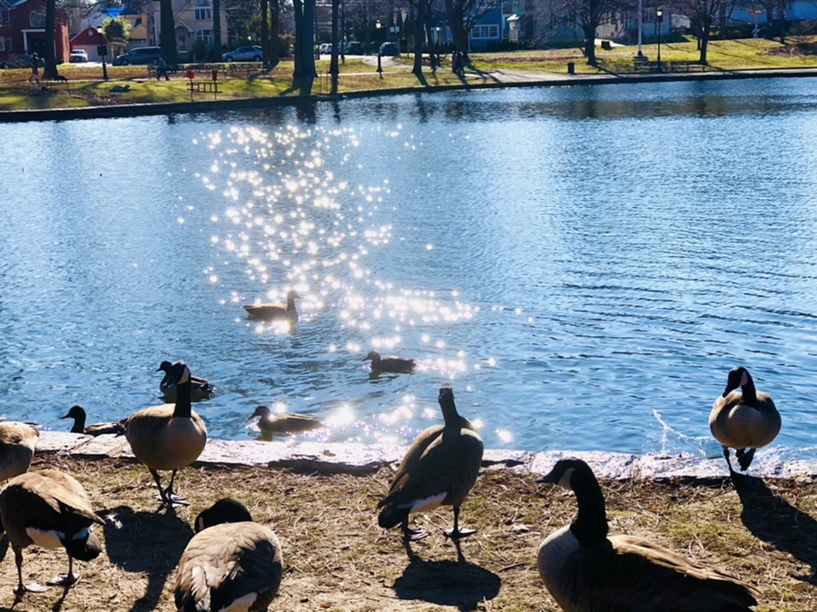 IMG_0220.jpg?type=w966