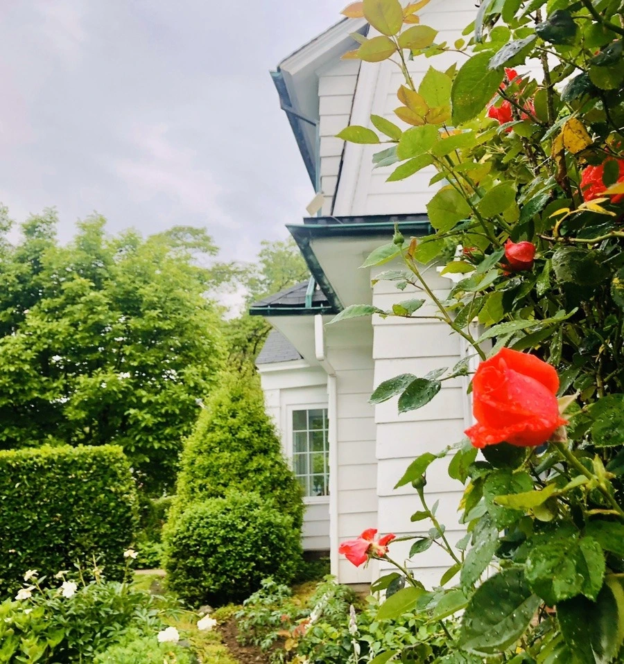 vJINjNbRQT2nPUoj-52a6h9vH5U