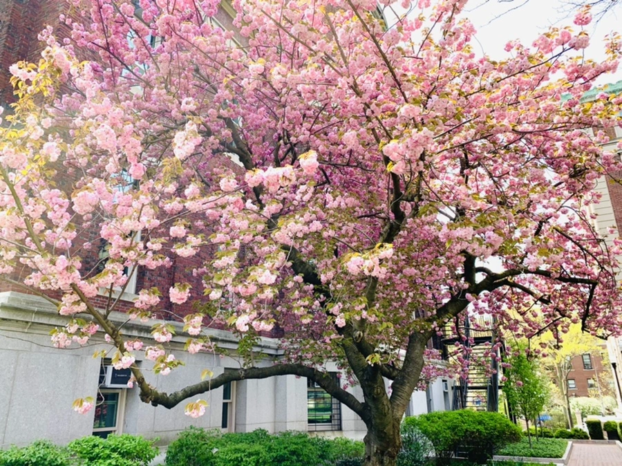 IMG_5097.jpg?type=w966