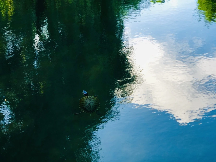 IMG_2899.jpg?type=w966