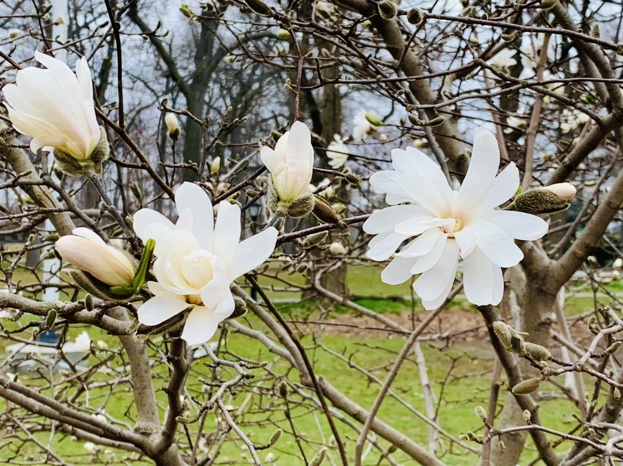 IMG_6018.jpg?type=w966