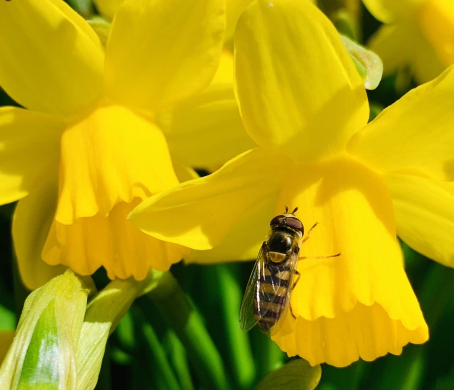 IMG_3264.jpg?type=w966