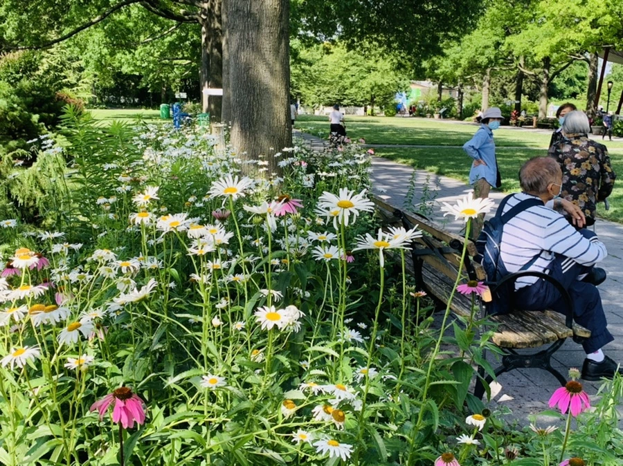 IMG_0617.jpg?type=w966