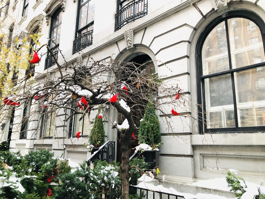 IMG_7516.jpg?type=w966