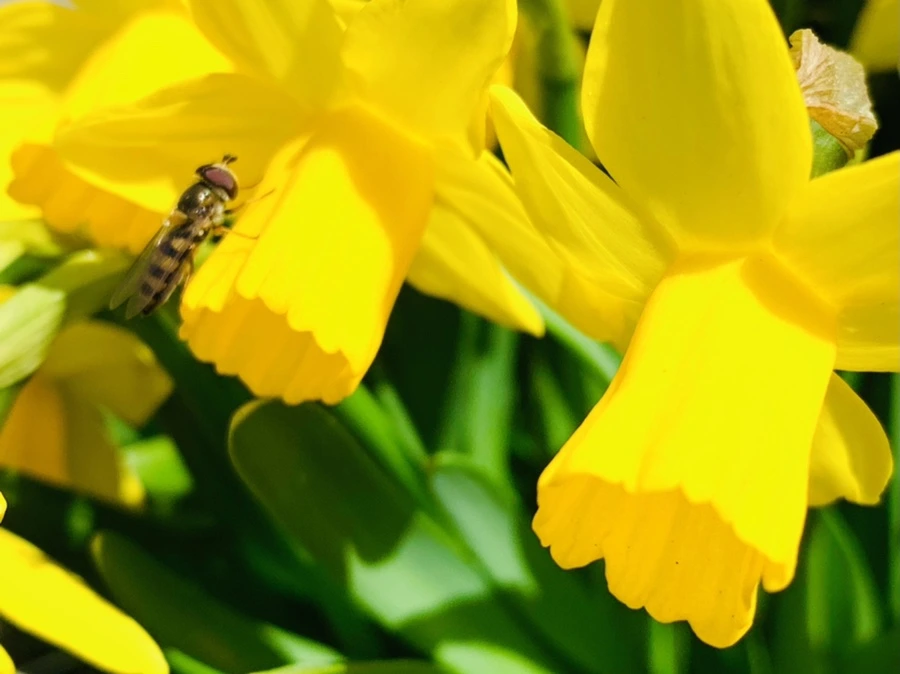 IMG_3255.jpg?type=w966