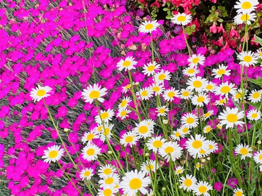 IMG_4893.jpg?type=w966