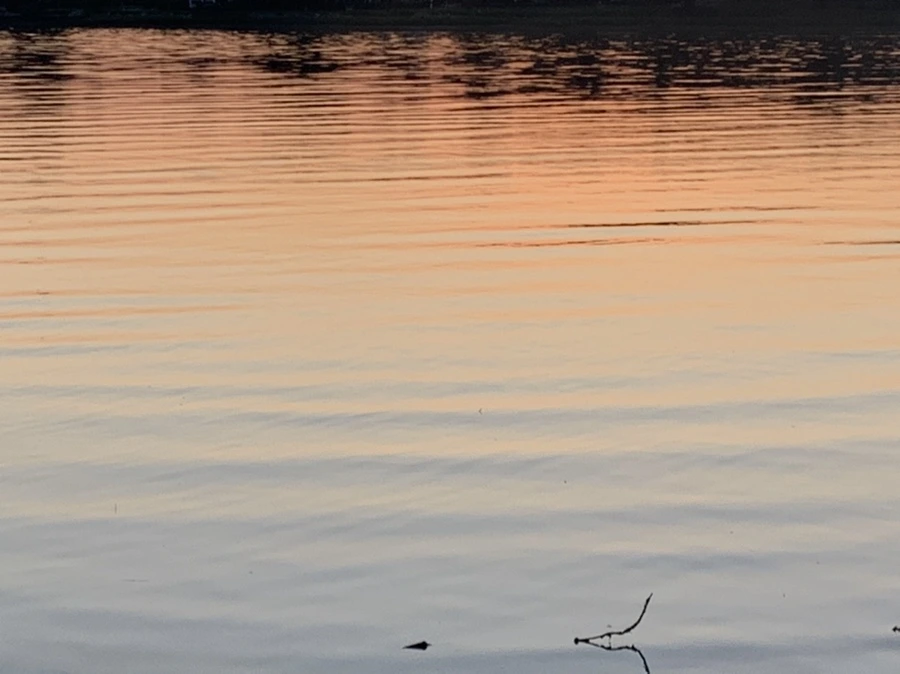 IMG_0108.jpg?type=w966