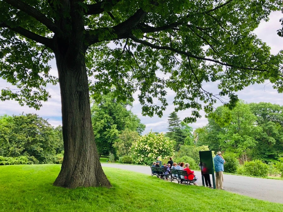 IMG_7225.jpg?type=w966