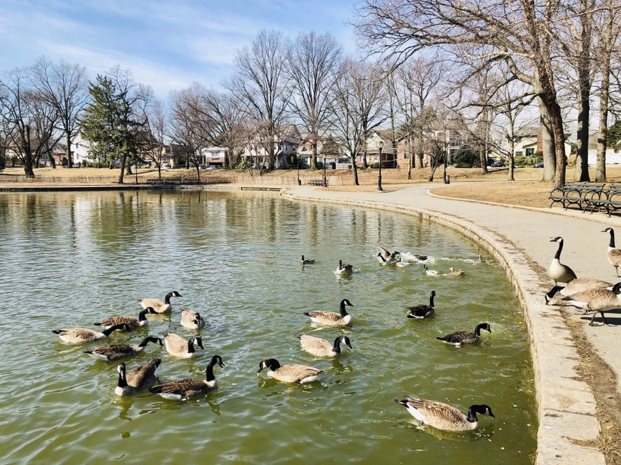 IMG_0902.jpg?type=w966