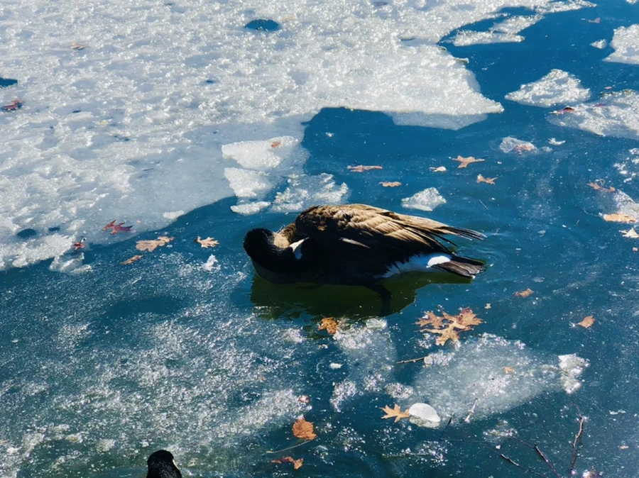 IMG_5166.jpg?type=w966