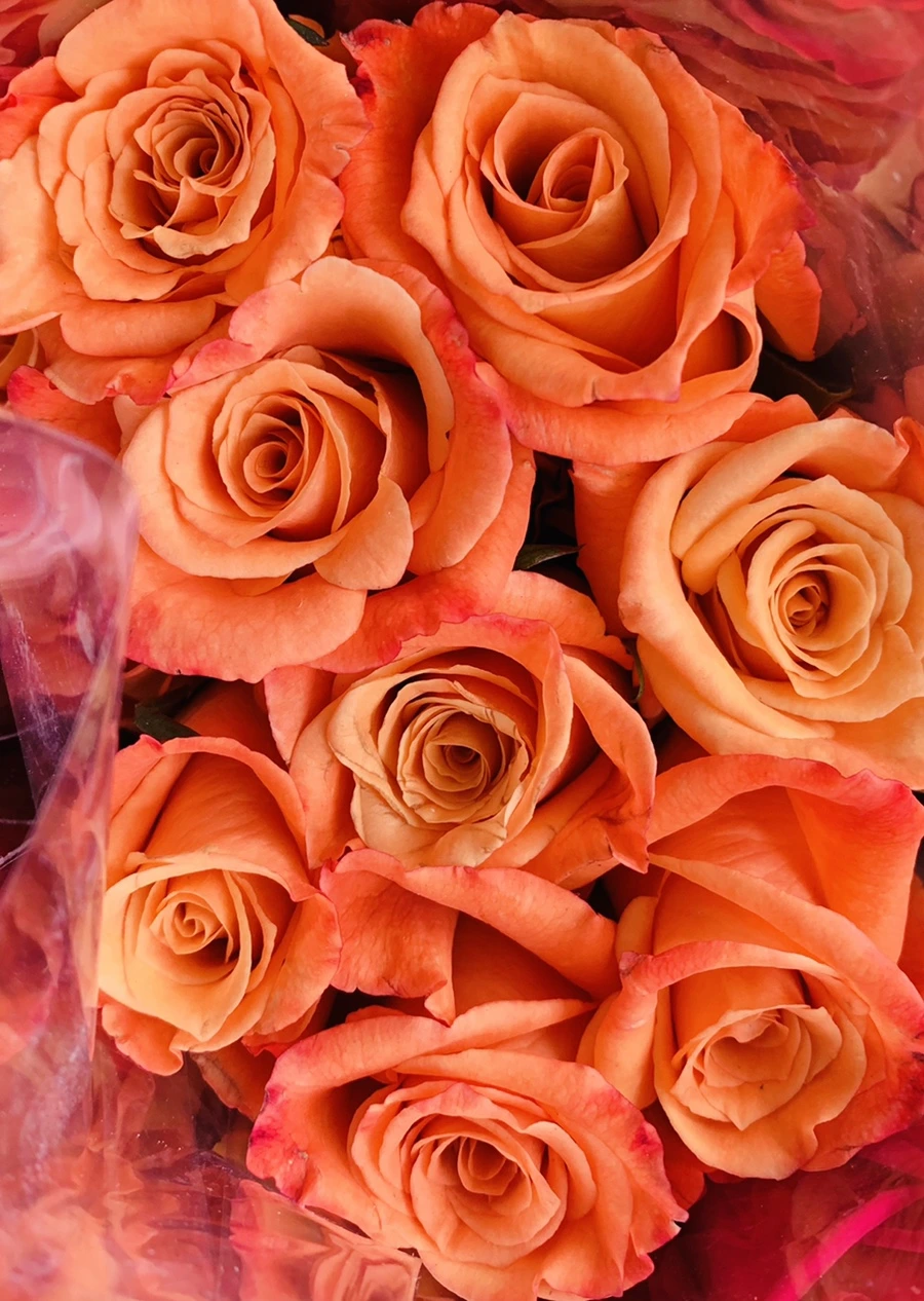 IMG_2197.jpg?type=w966