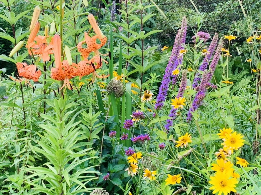 IMG_8709.jpg?type=w966