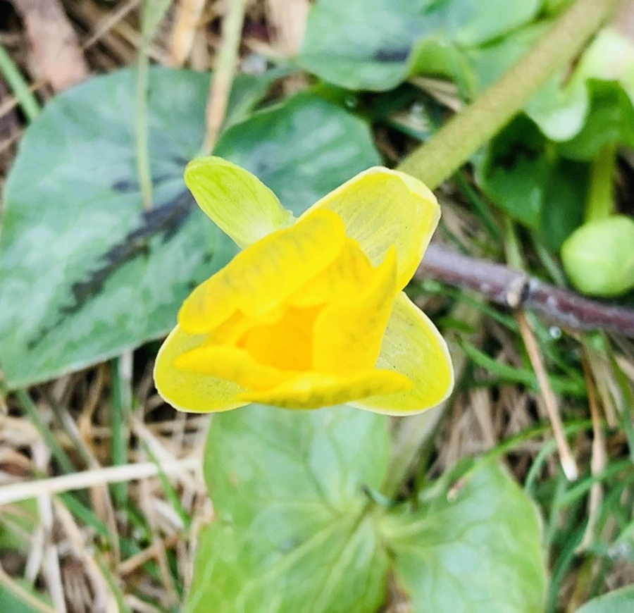 IMG_3448.jpg?type=w966