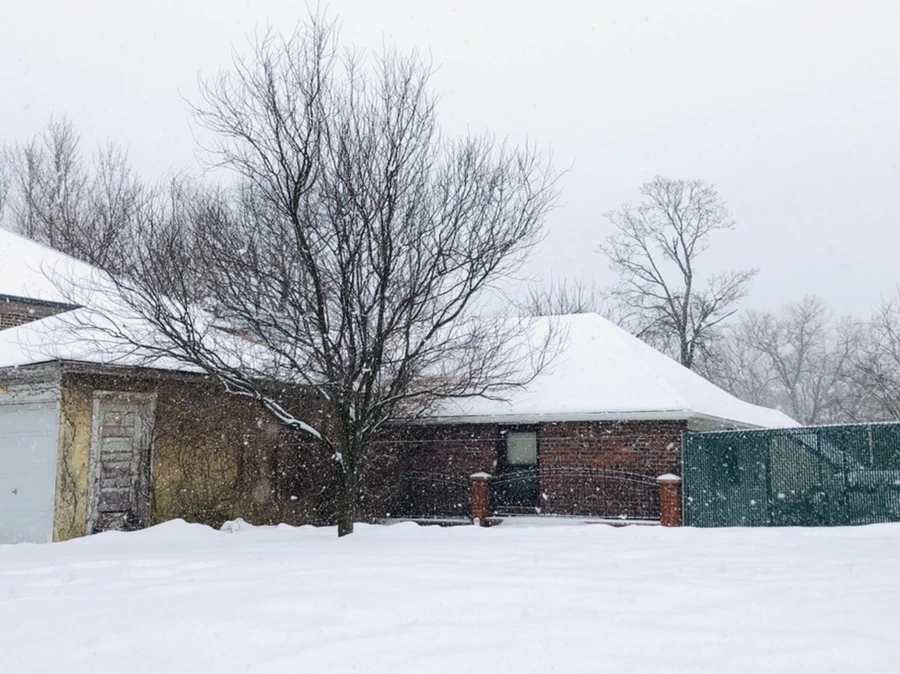 IMG_3308.jpg?type=w966