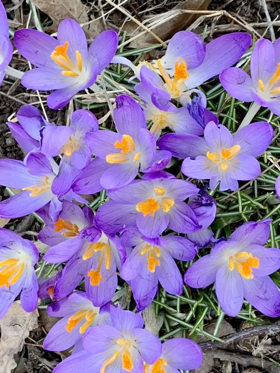 IMG_9777.jpg?type=w966