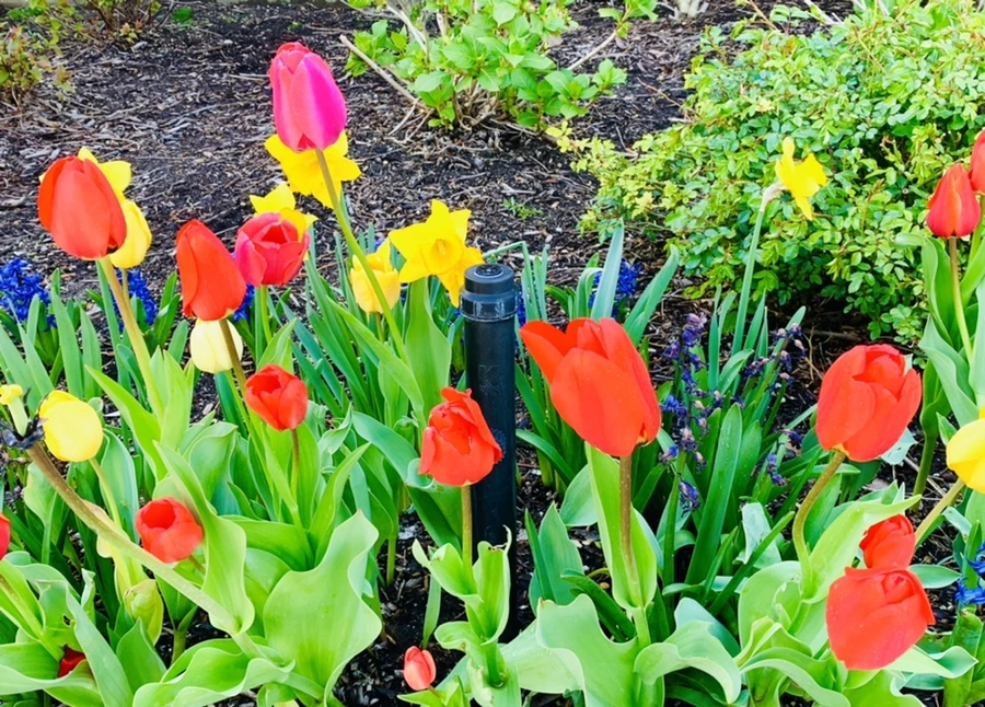 IMG_5060.jpg?type=w966