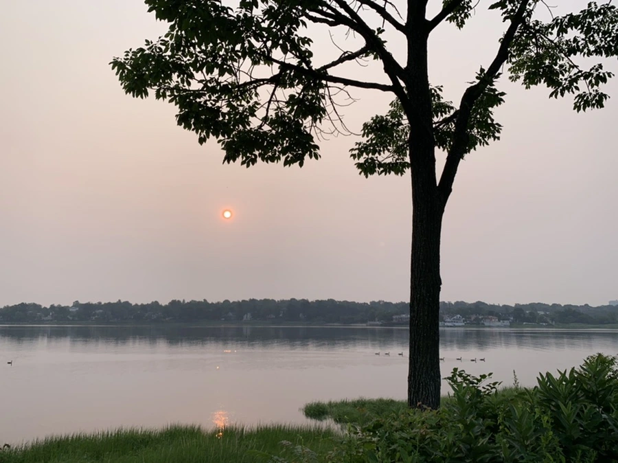 IMG_8158.jpg?type=w966