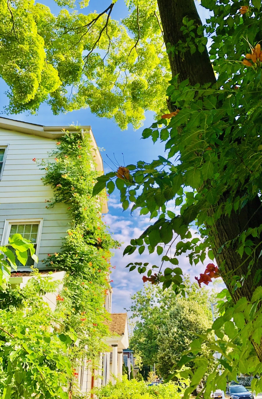 IMG_2128.jpg?type=w966