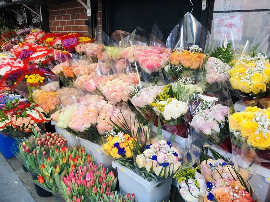 IMG_9480.jpg?type=w966