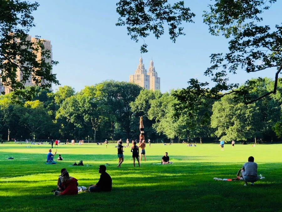 IMG_1095.jpg?type=w966