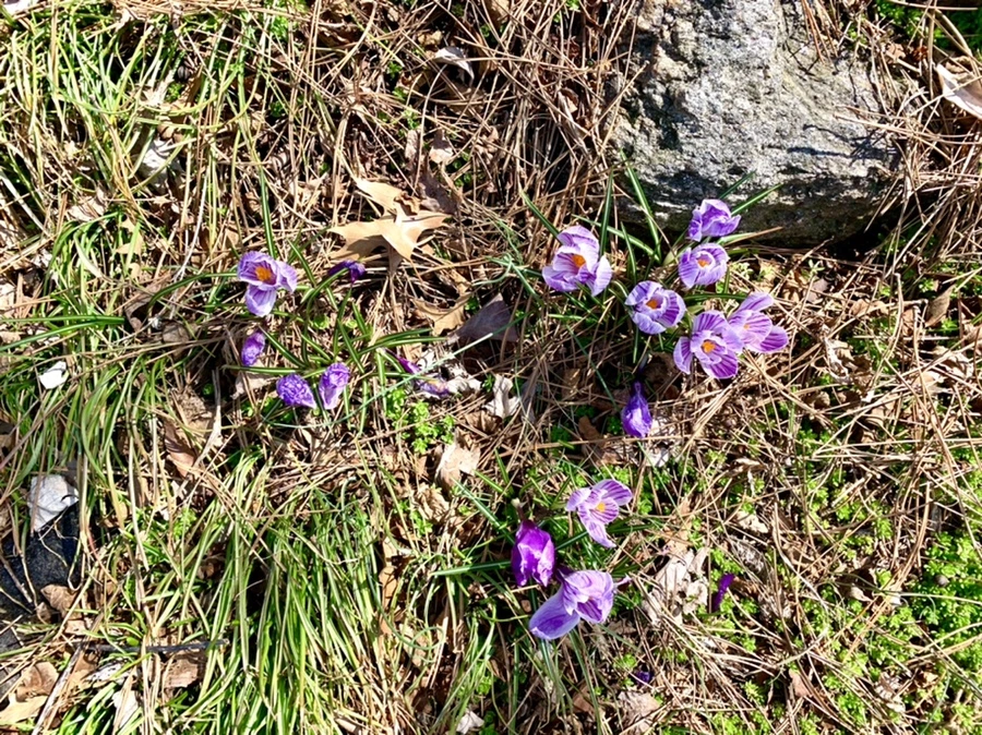 IMG_4365.jpg?type=w966