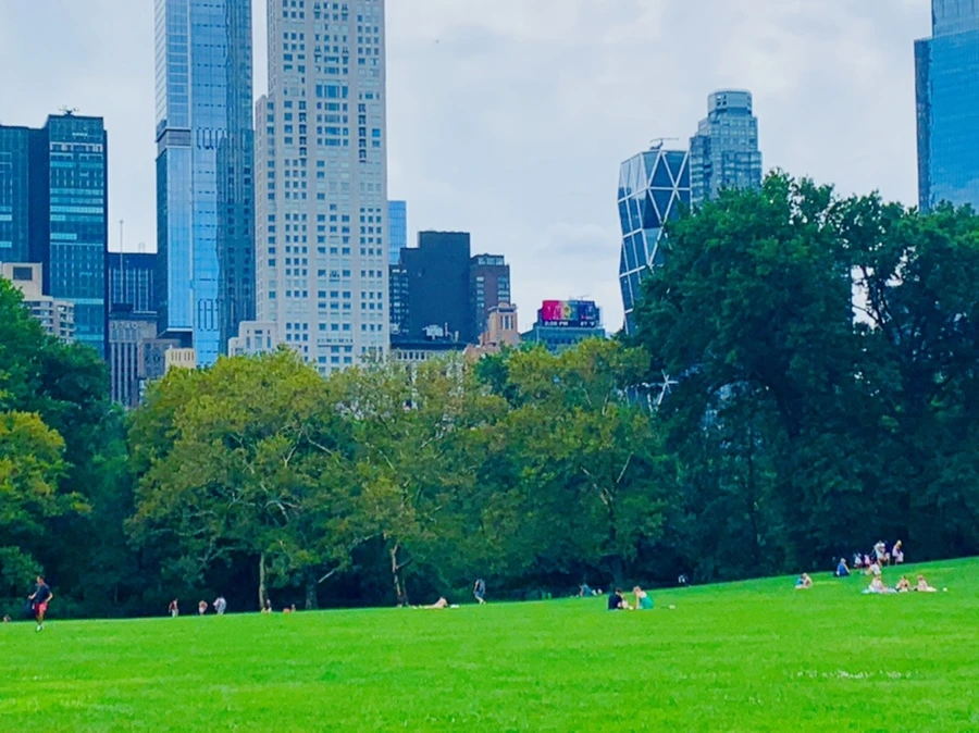 IMG_1568.jpg?type=w966