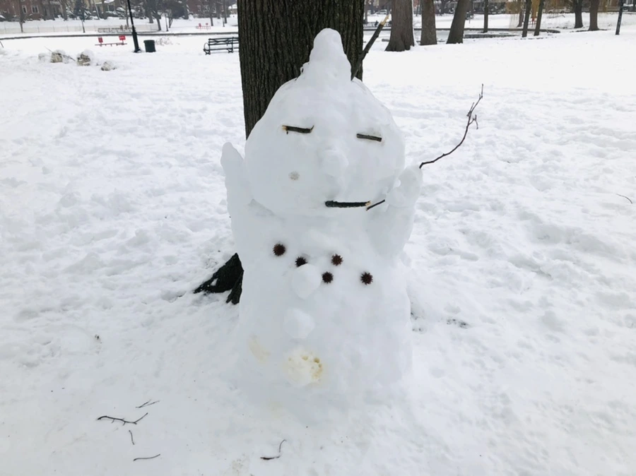 IMG_1560.jpg?type=w966