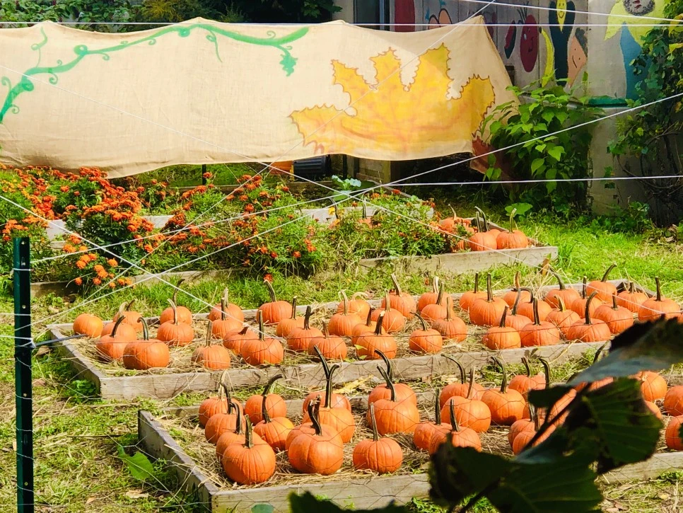 IMG_2829.jpg?type=w966