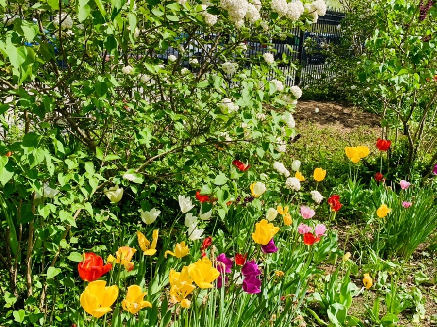 IMG_6884.jpg?type=w966