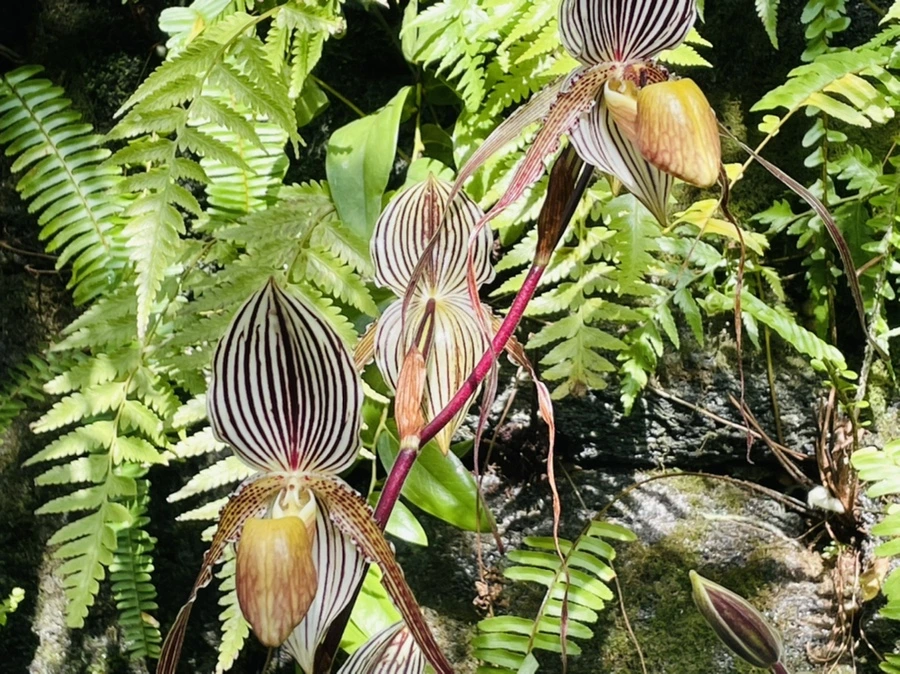 IMG_4476.jpg?type=w966