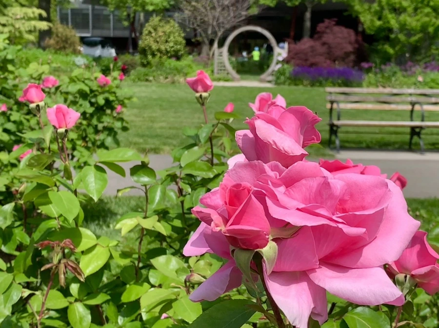 IMG_5757.jpg?type=w966