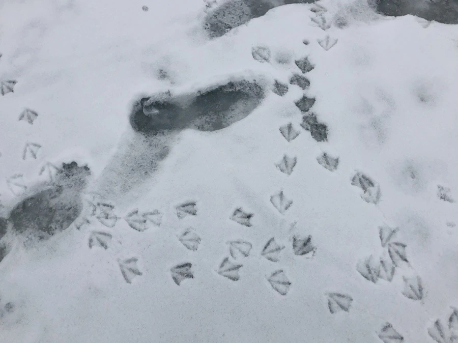 cw-WRfvYkwFZXddDh6FRHw0B7Y8