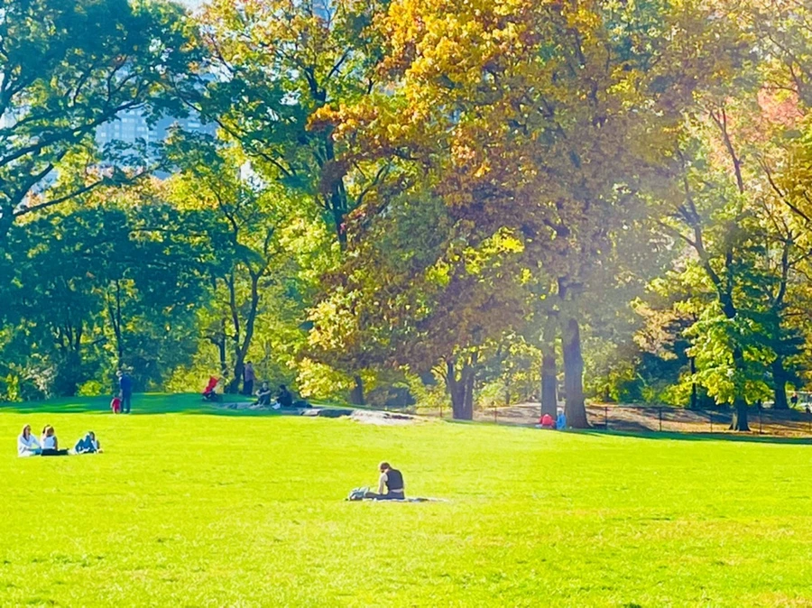 IMG_1708.jpg?type=w966