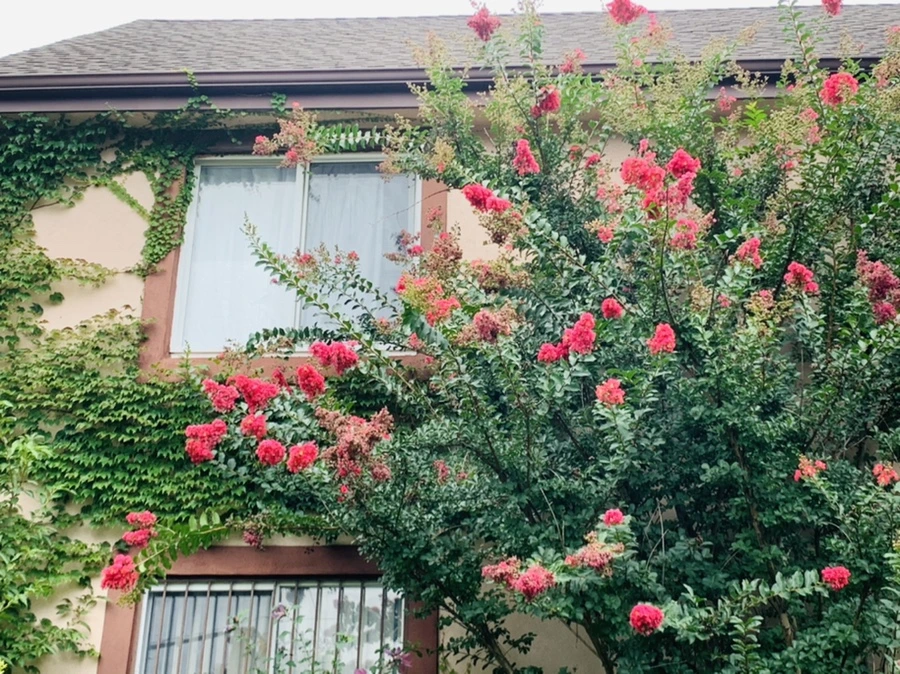 IMG_5938.jpg?type=w966