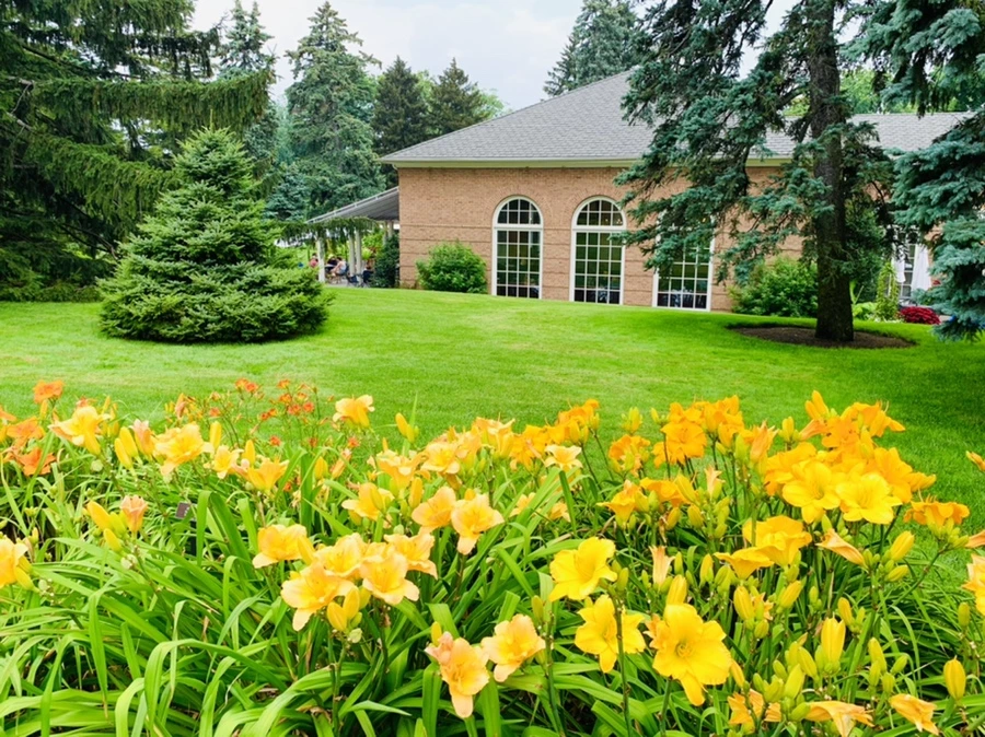 IMG_2588.jpg?type=w966