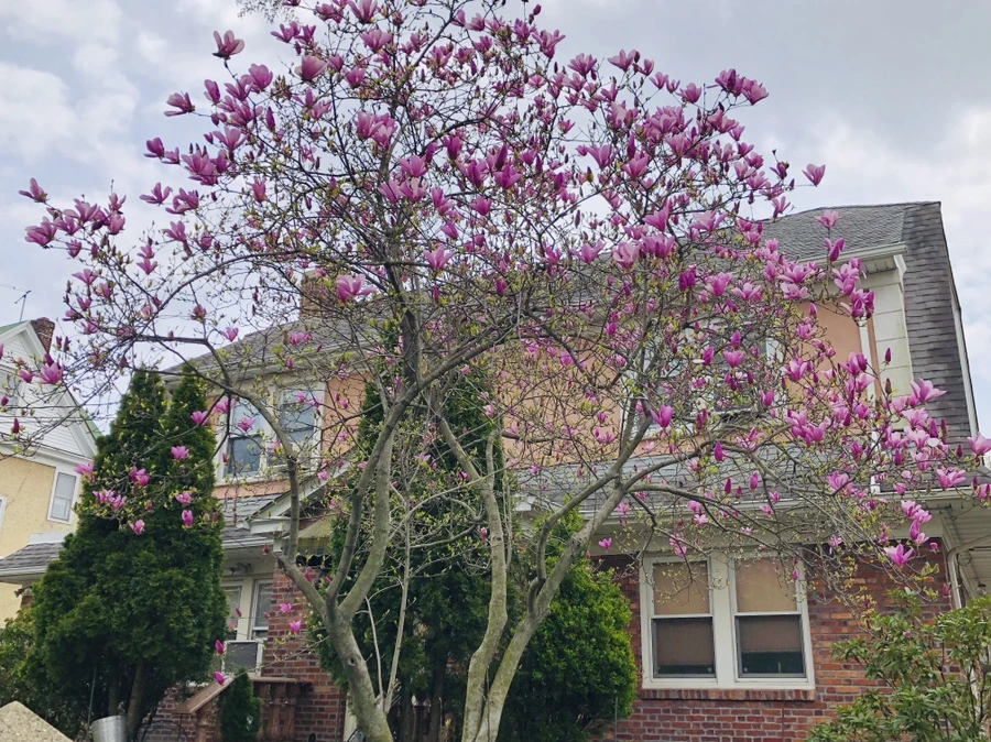 IMG_3203.jpg?type=w966