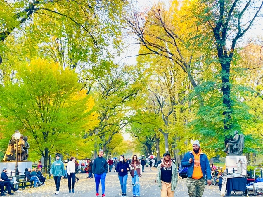 IMG_1482.jpg?type=w966